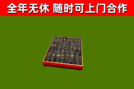 浈江区回收海参